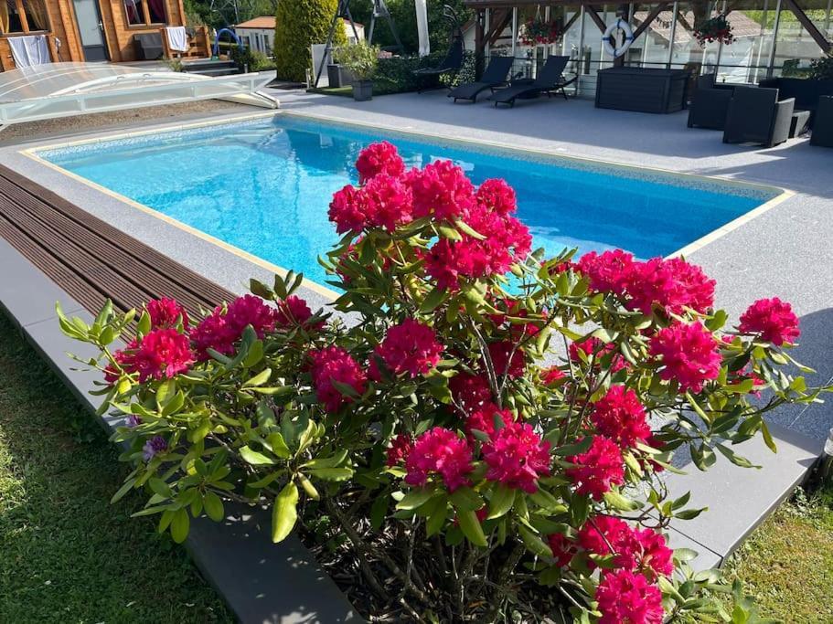 Chalet 2 Personnes Avec Jacuzzi Et Piscine Saisonniere Partagee Corcieux エクステリア 写真
